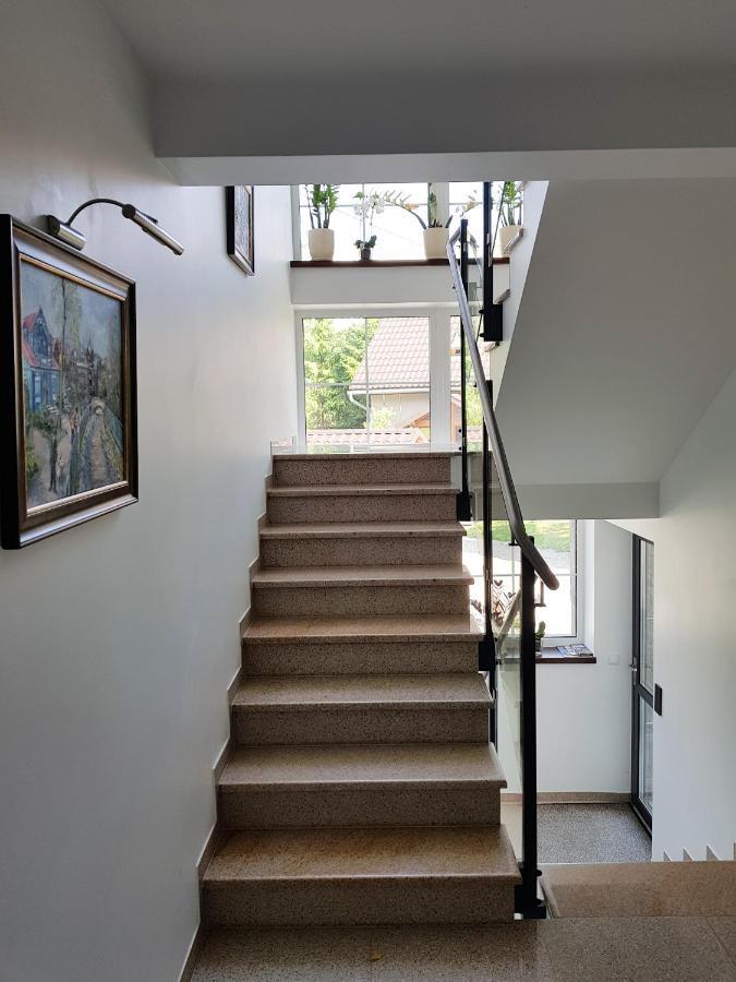 Apartmán Pod Modrzewiami Krynica-Zdrój Exteriér fotografie
