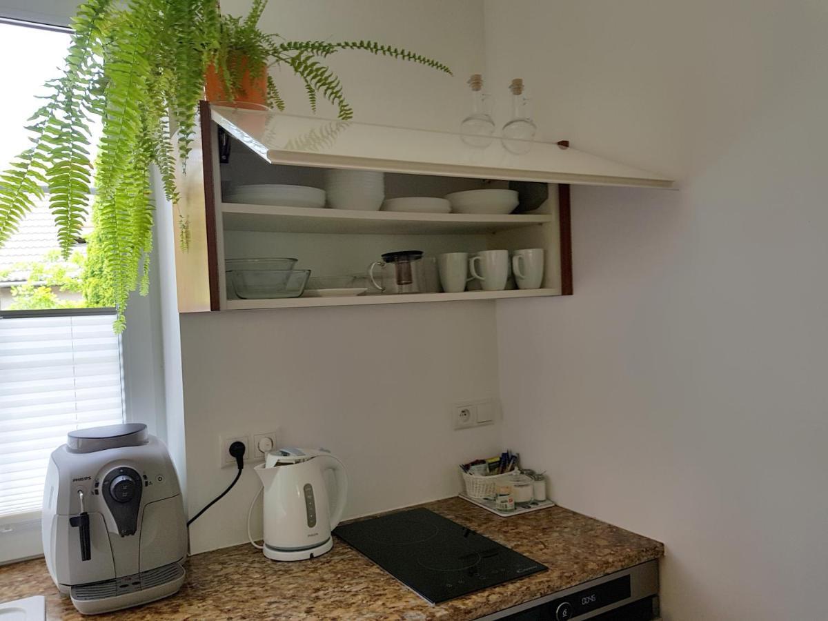 Apartmán Pod Modrzewiami Krynica-Zdrój Exteriér fotografie