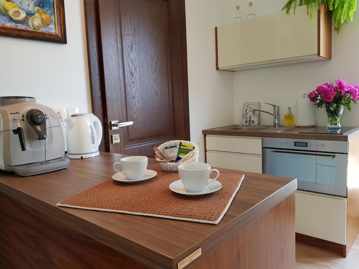 Apartmán Pod Modrzewiami Krynica-Zdrój Exteriér fotografie